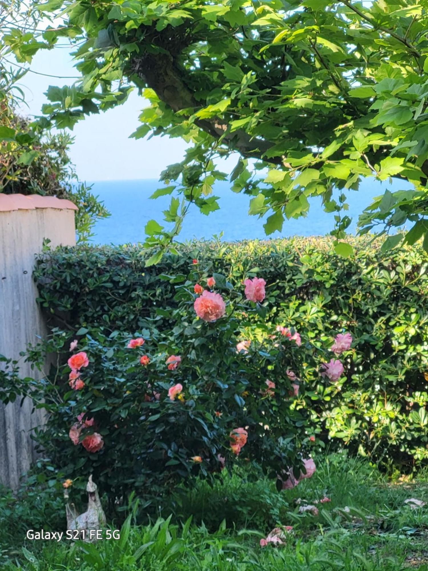 Chez Isabelle Bed & Breakfast Luri Exterior photo